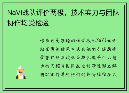 NaVi战队评价两极，技术实力与团队协作均受检验