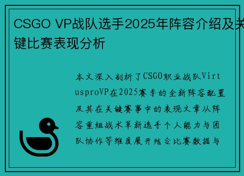 CSGO VP战队选手2025年阵容介绍及关键比赛表现分析